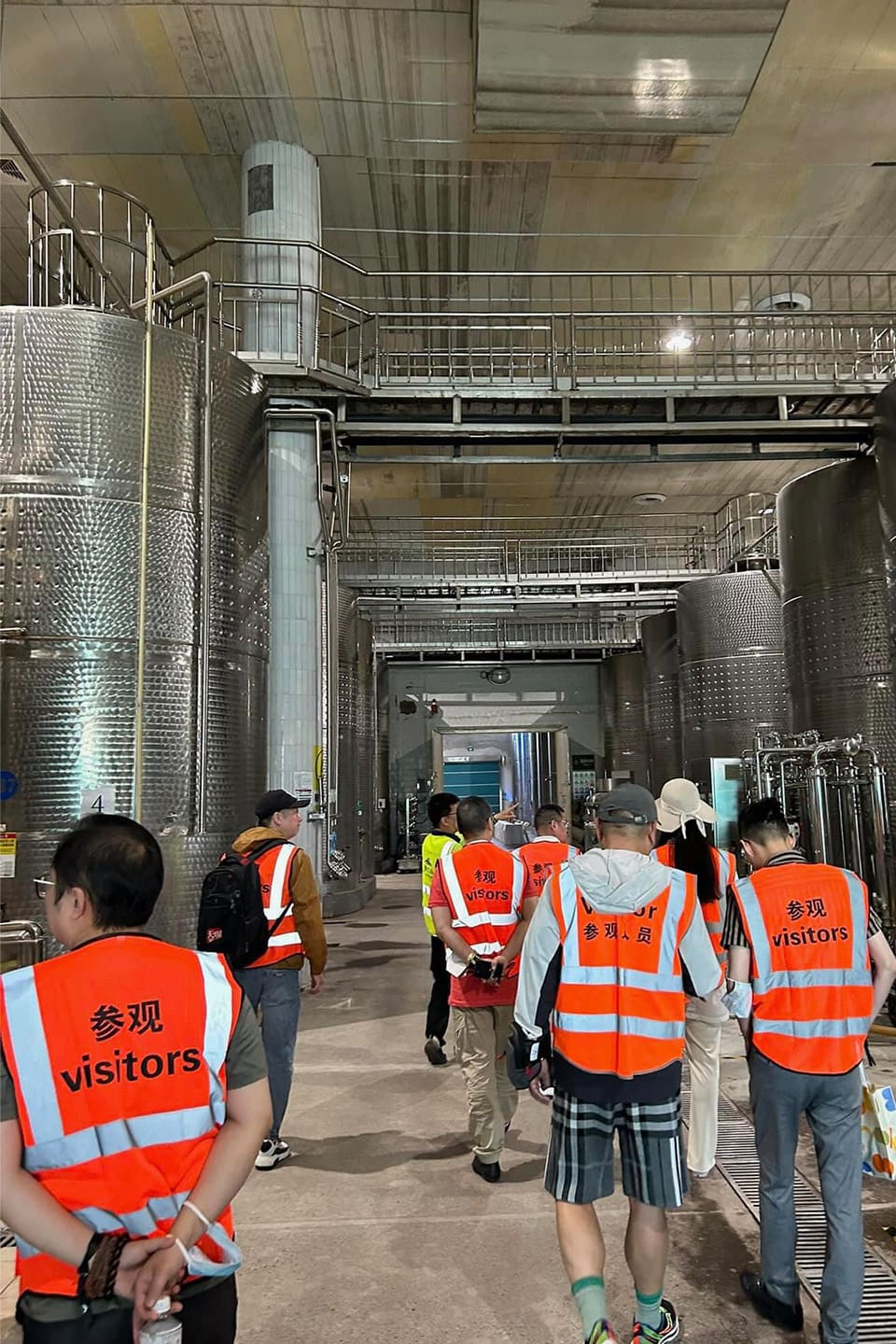 ペルノー・リカール　ワイナリー巨大な醸造設備　