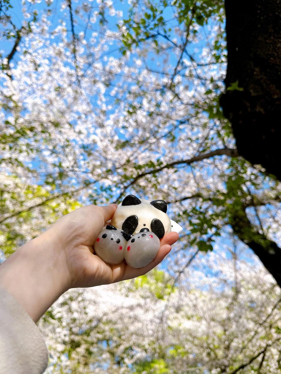 「騒豆花」のパンダ点心を手にもつ