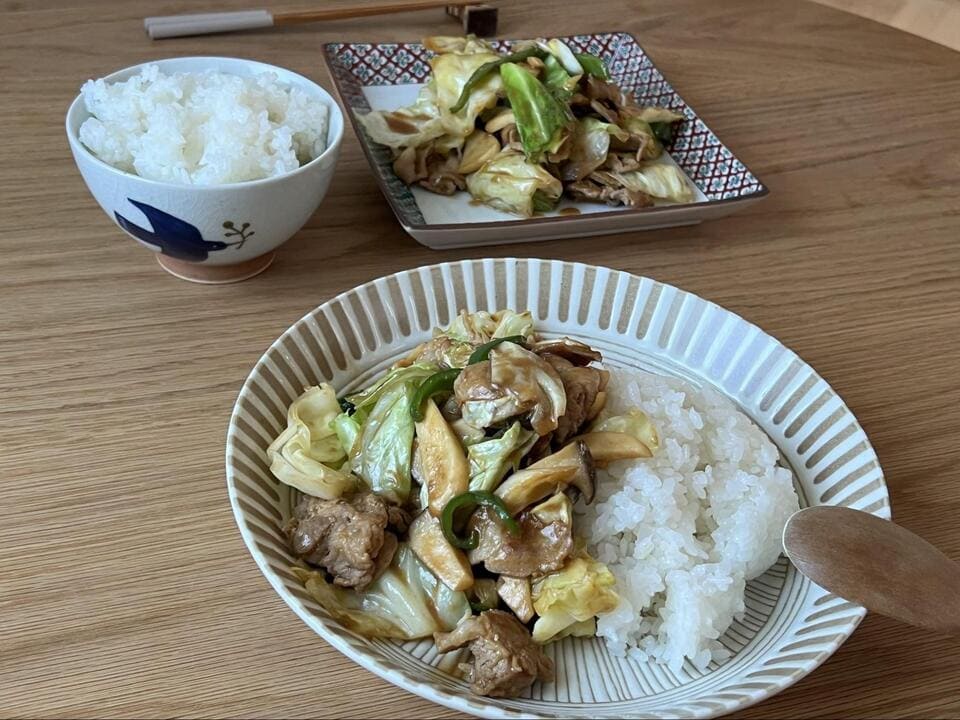 回鍋肉丼風