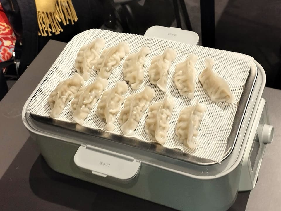 BUYDEEM(バイディーム)電気スチーマーで焼く餃子