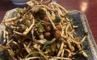 ミャオ族オーナーのドクダミ＆発酵料理に魅せられた御徒町「王さん私家菜」