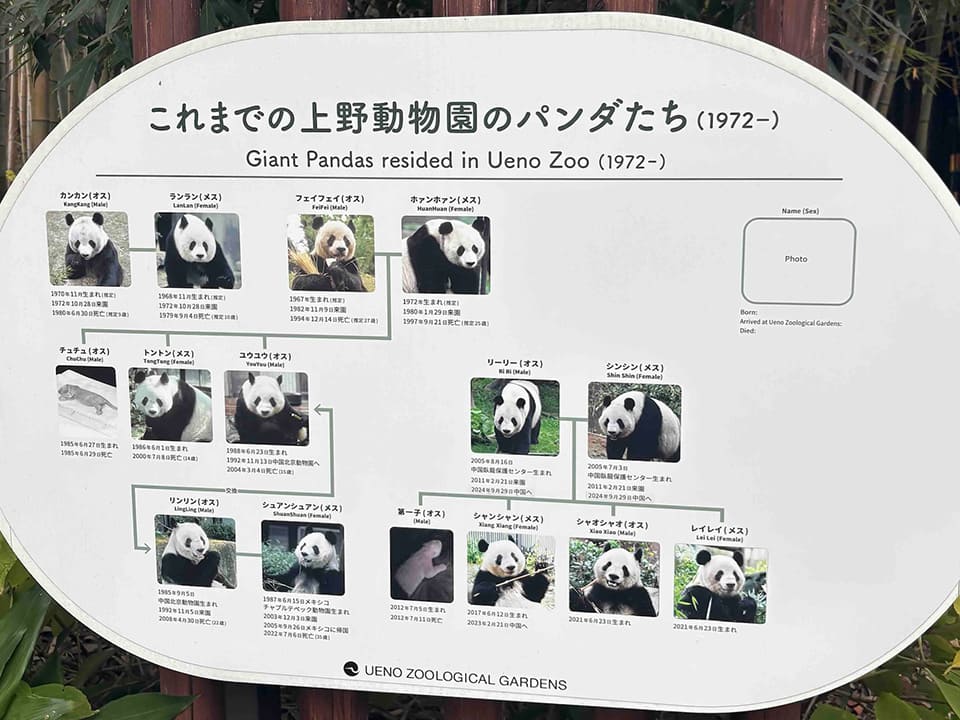 これまでの上野動物園のパンダたち