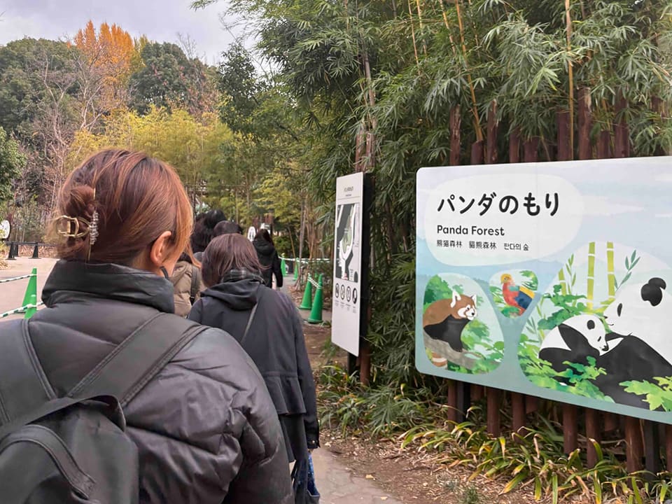 上野動物園のパンダのもり
