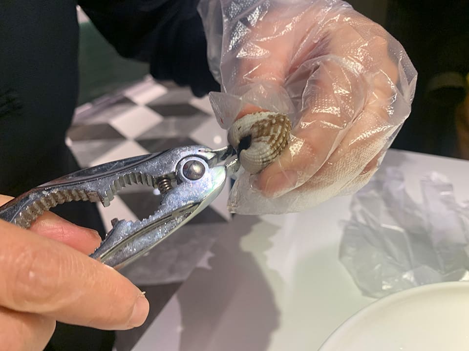 血蛤を特殊なペンチで開ける
