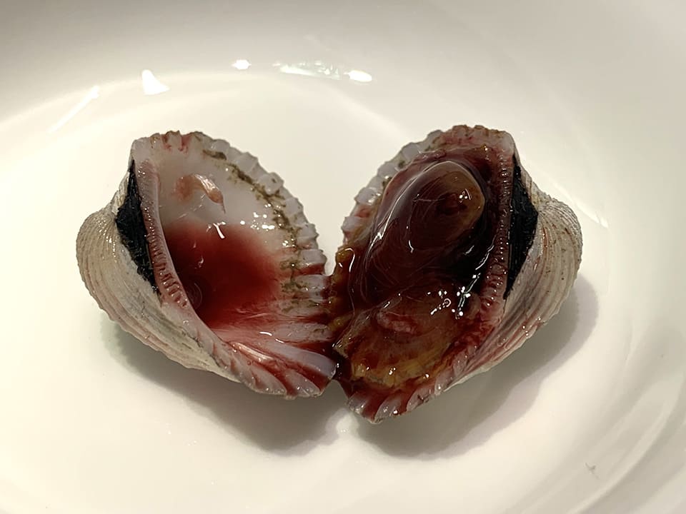 血蛤の中