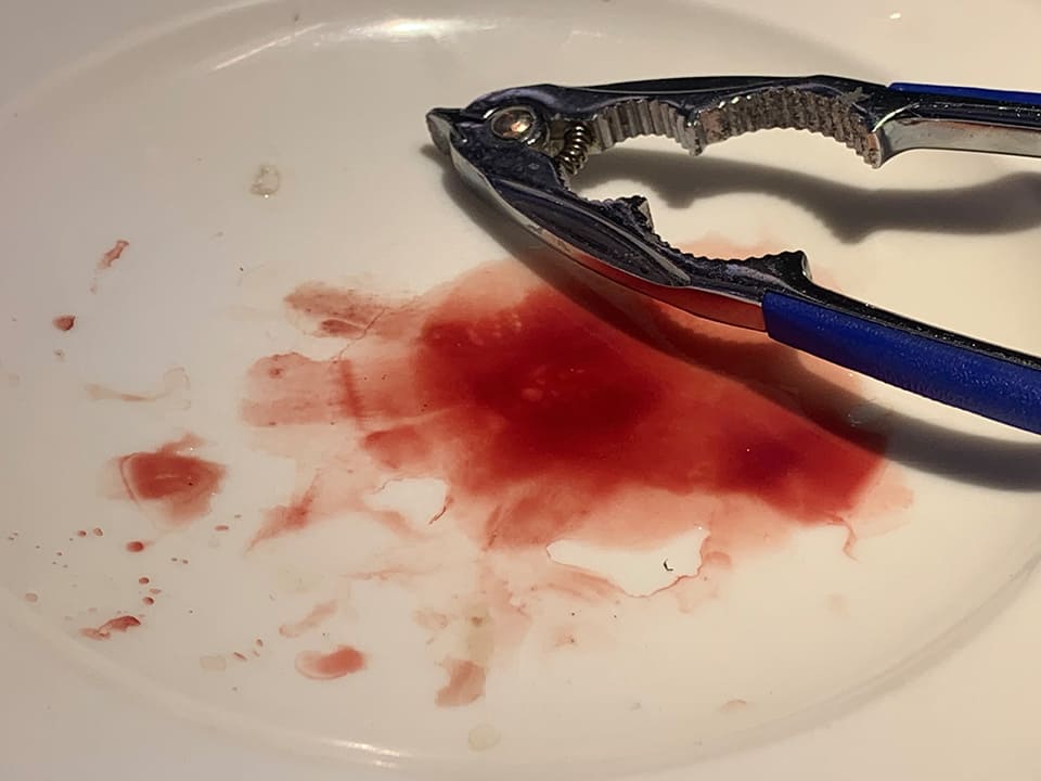血蛤を食べ終わった後の皿