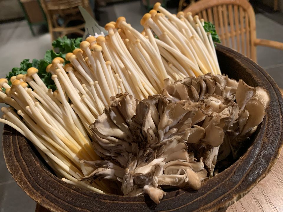 「菌菇両組」